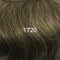 (1720) Dark Blond + 20% Grey