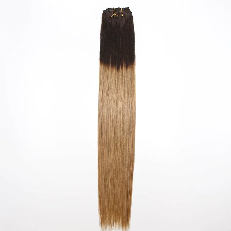 Clip-In Hair Extensions Ombre Color Virgin Straight